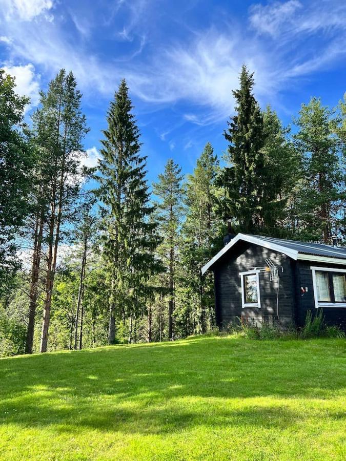 AuktsjaurGemuetliches Blockhaus Im Wald别墅 外观 照片