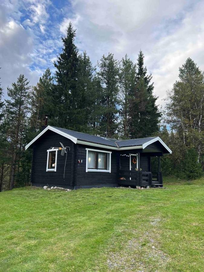 AuktsjaurGemuetliches Blockhaus Im Wald别墅 外观 照片