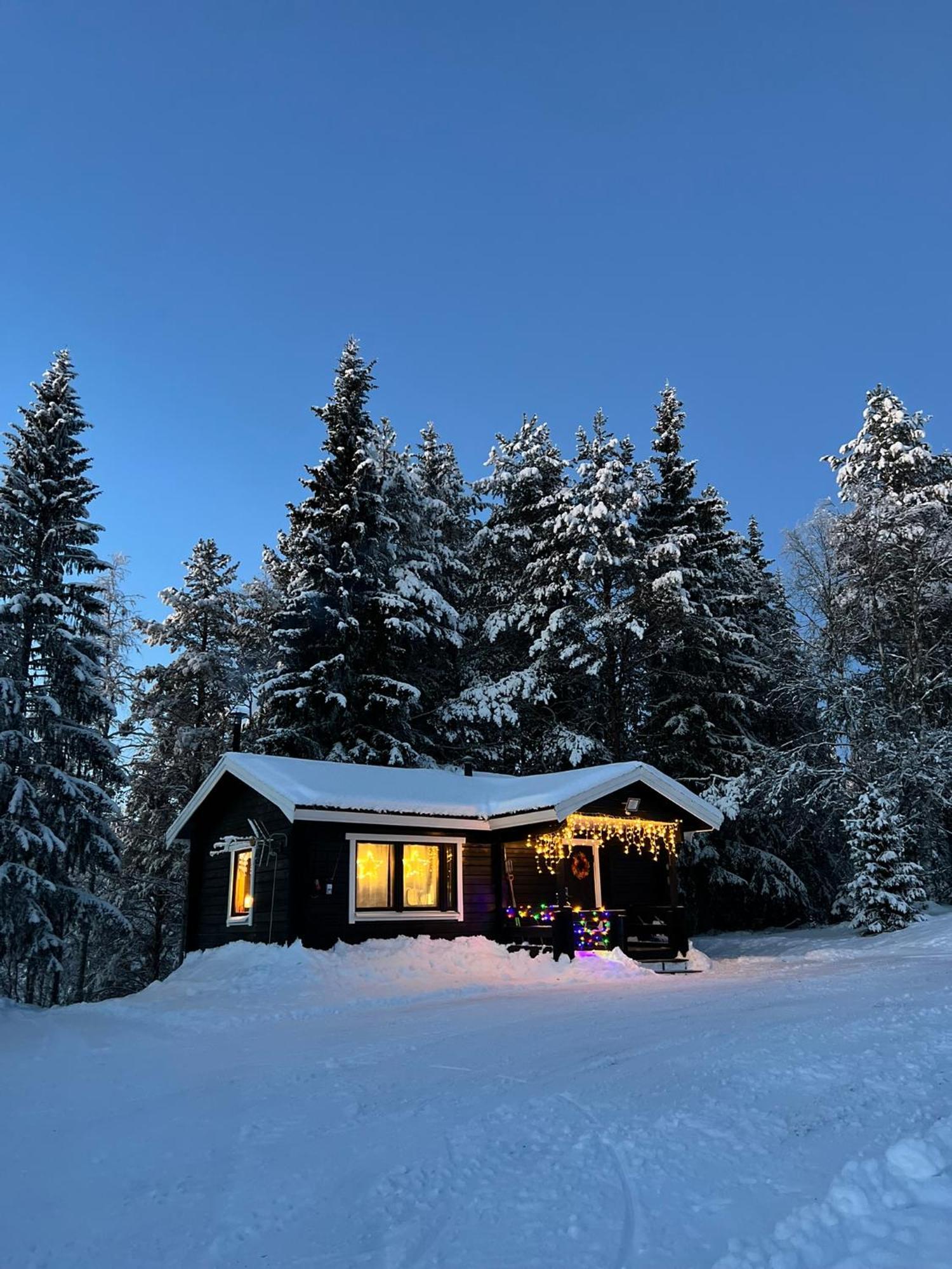 AuktsjaurGemuetliches Blockhaus Im Wald别墅 外观 照片